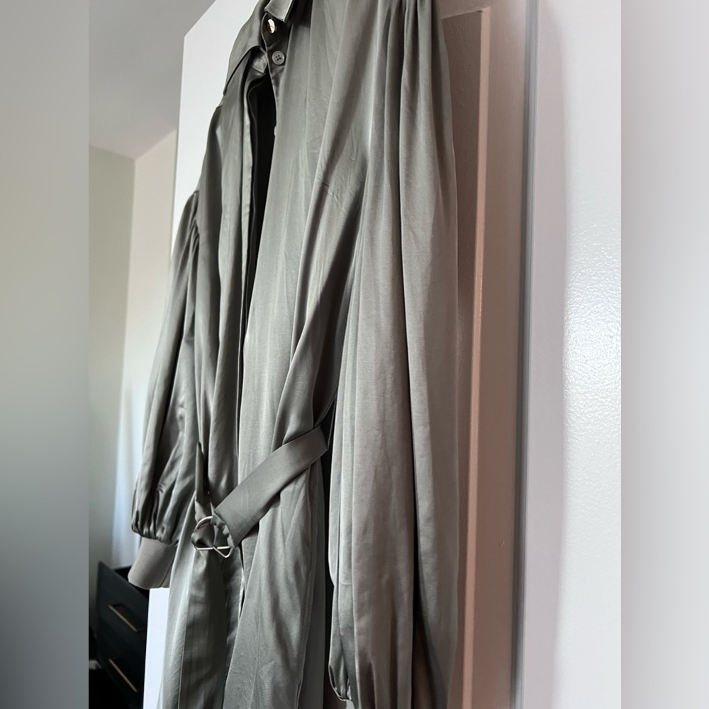 Ted Baker London shirt dress (orig. $395) - Picture 8 of 11